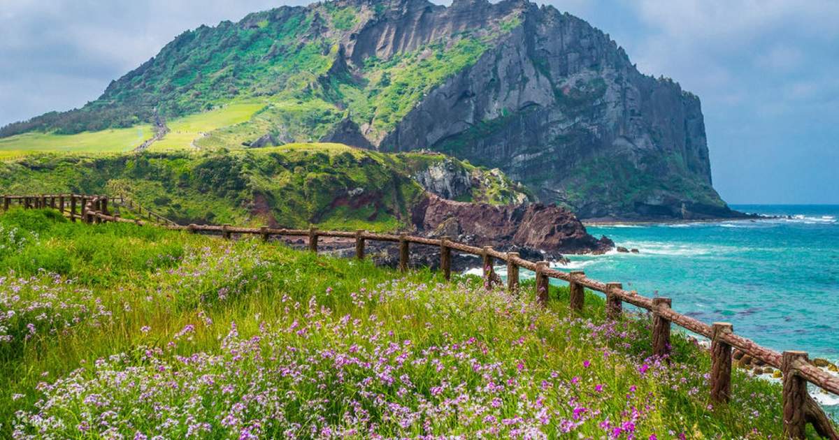 Jeju UNESCO East Small Group Tour For Cruise Guest Klook Australia Jeju UNESCO East Small Group Tour For Cruise Guest Klook Australia